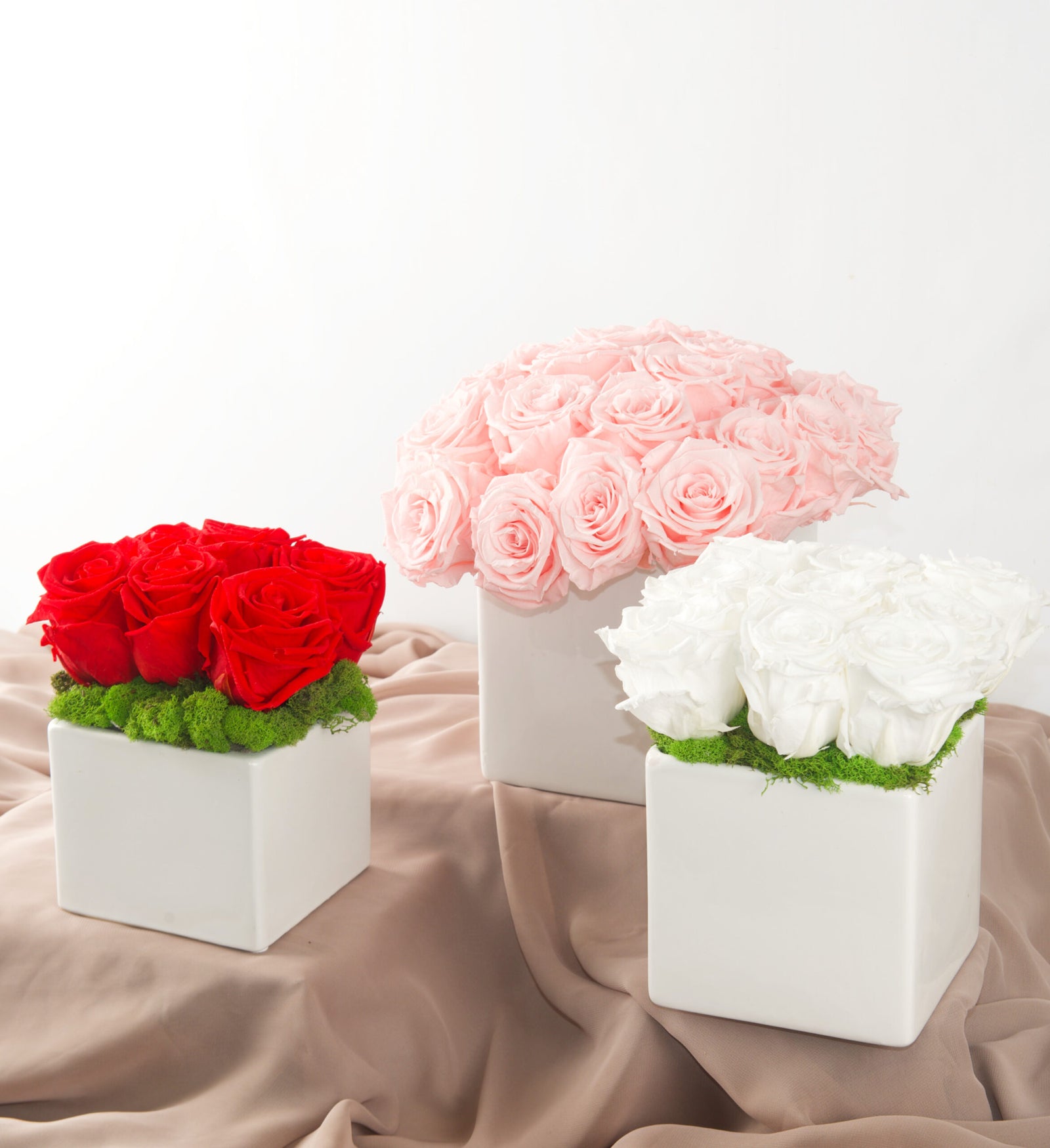 Preserved Forever Roses - Bartz Viviano