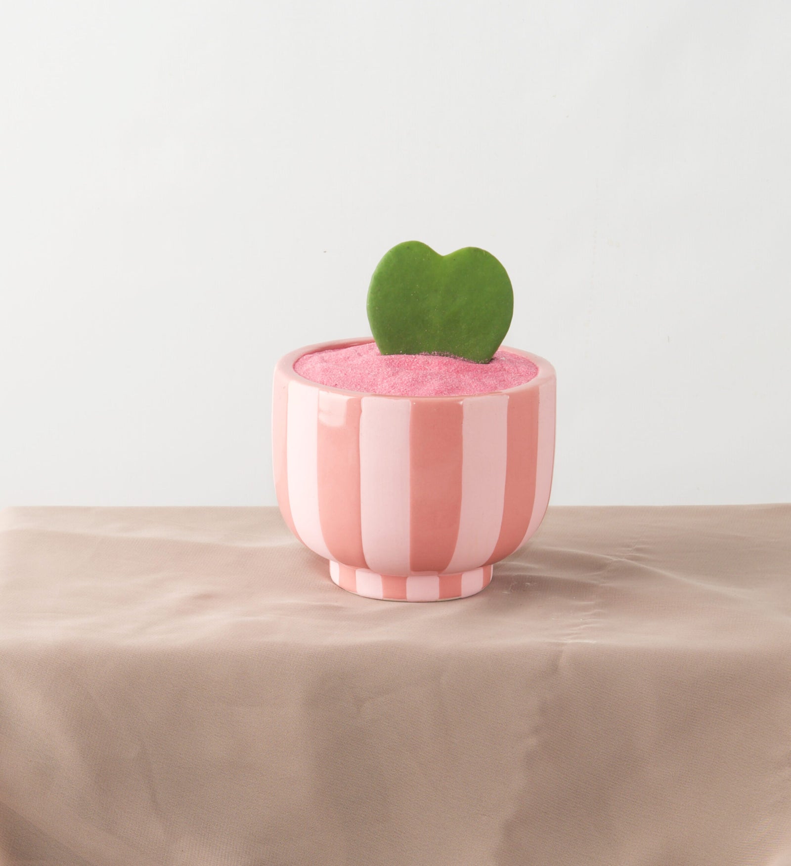 Sweetheart Succulent - Bartz Viviano