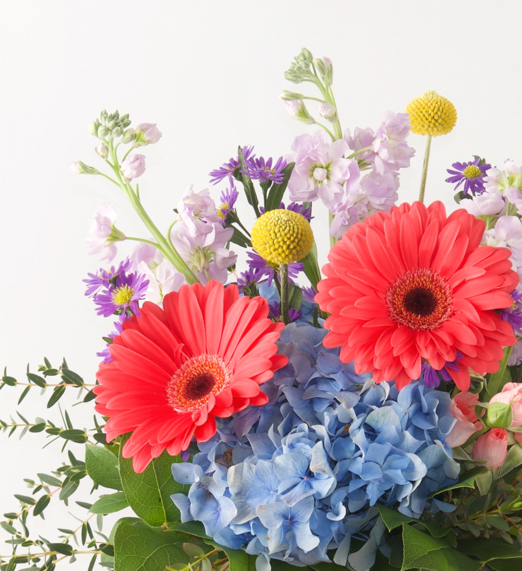 Mother's Day Designer's Choice - Bartz Viviano