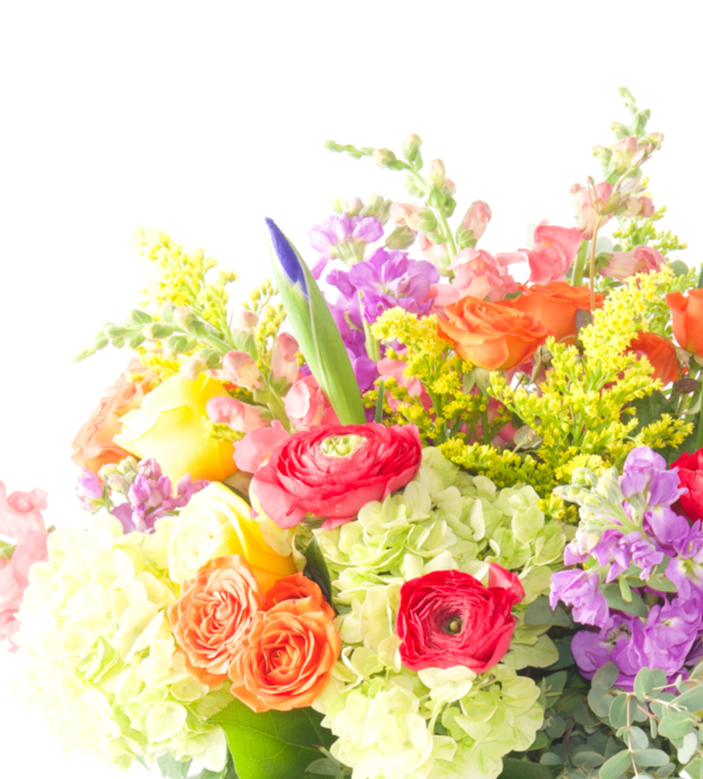 Mother's Day Designer's Choice - Bartz Viviano
