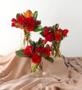 Holiday Centerpiece Trio - Bartz Viviano