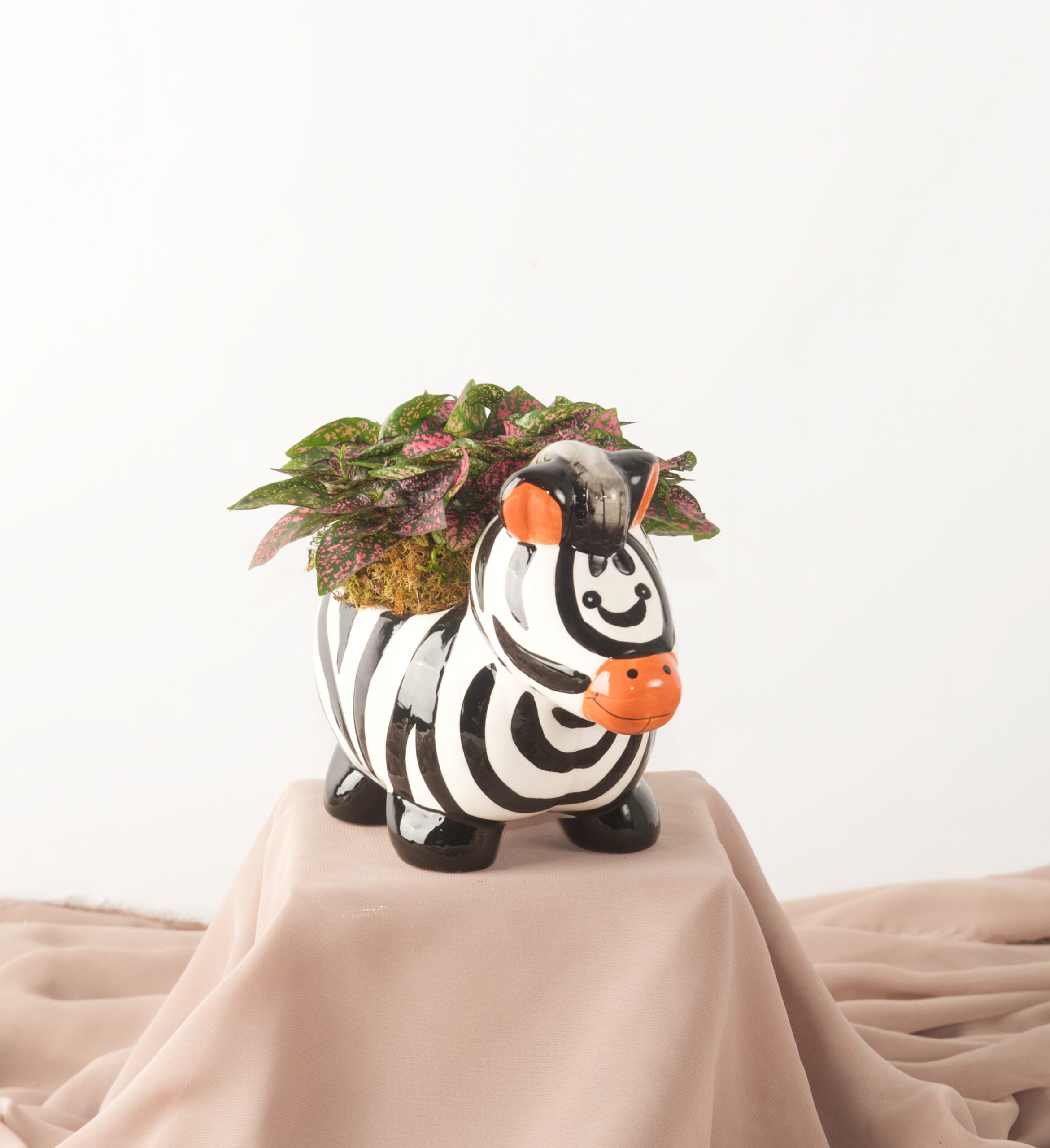 Zoey Zebra - Bartz Viviano